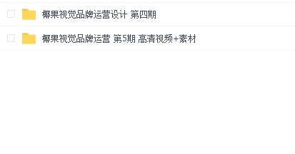 椰果品牌视觉设计第4和5期