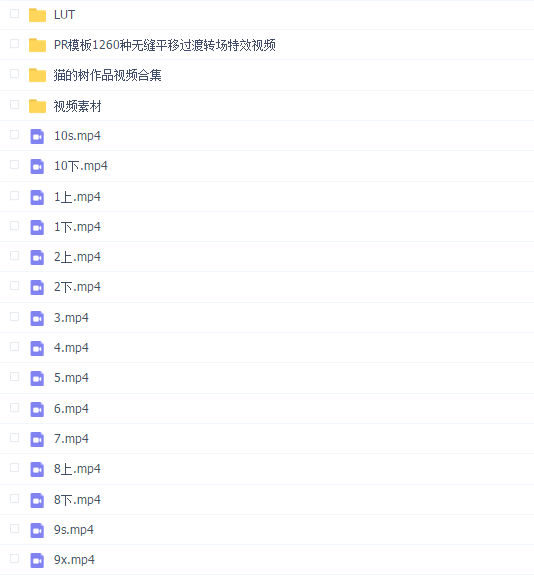 猫的树2019摄影课程