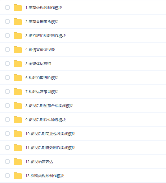 大鹏教育影视大师13合一正式课合集教程